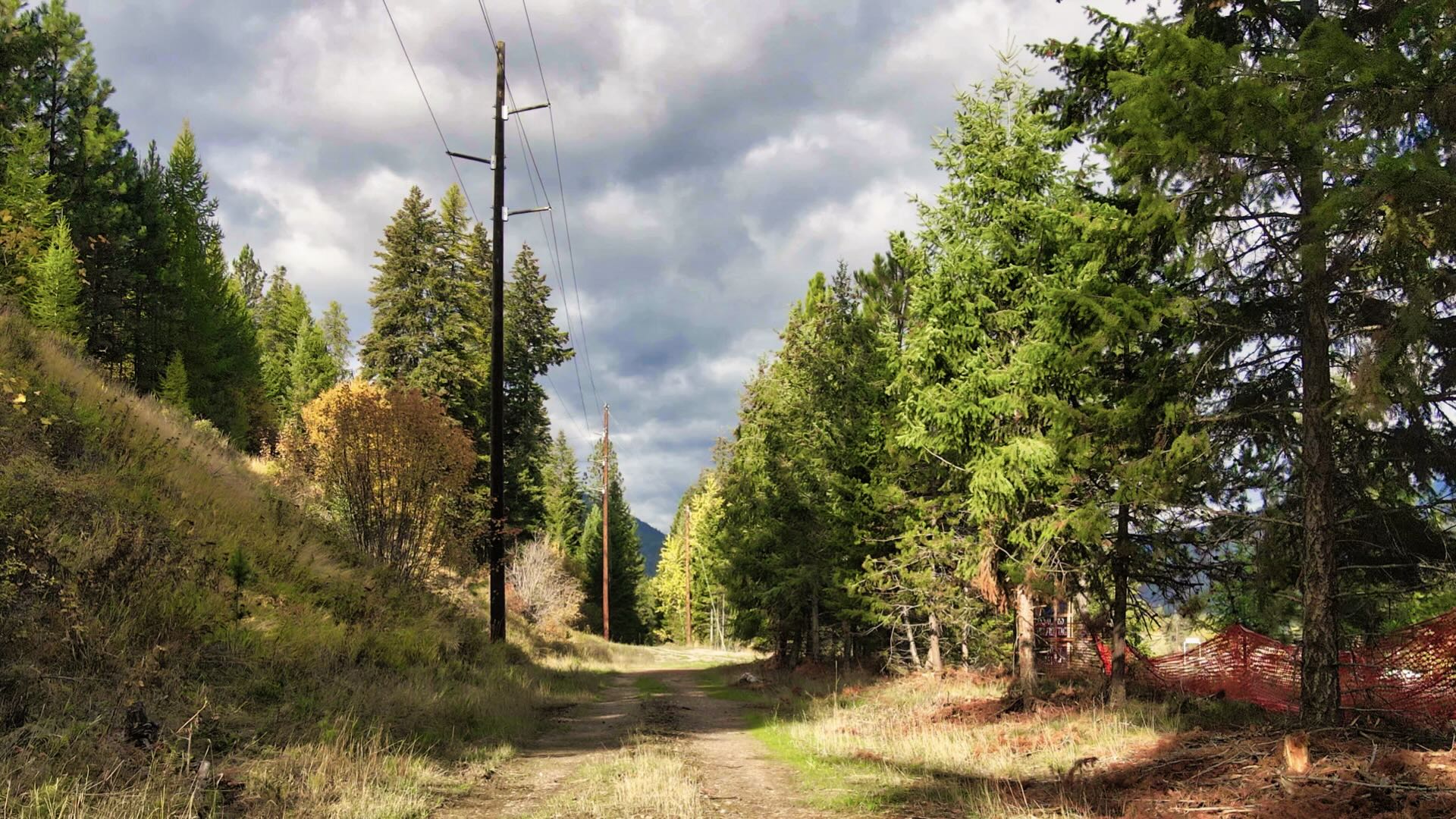 135 Riverfront Acres NW Montana in 4 Lots. Timber. Borders Public Land. Easy Access.